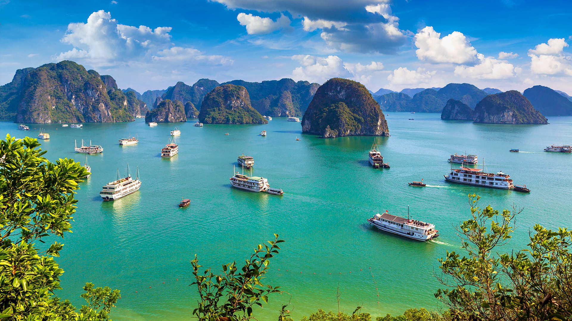 halongbay 1 day tour 3.jpg